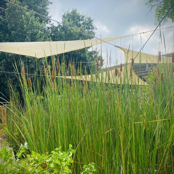 64a48748-75d0-4f55-9a5e-f4b0ff4a1a23