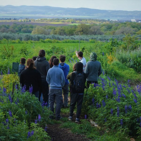 6d3e53_eaf41cb264c049cdb467d9ba6e1733fd~mv2_d_5184_3456_s_4_2