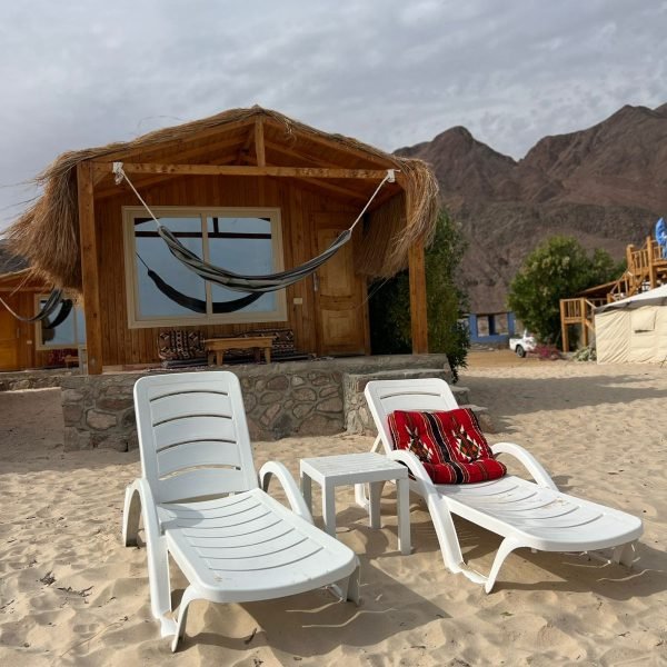 WhatsApp Image 2026-02-12 at 12.51.14 (1)