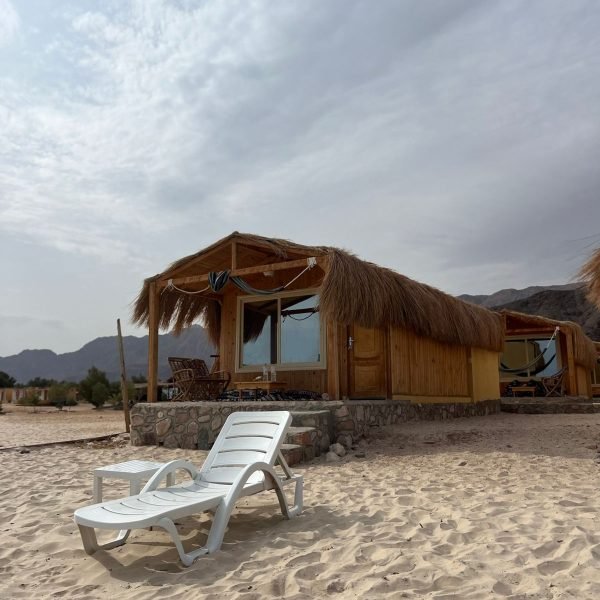 WhatsApp Image 2026-02-12 at 12.51.14