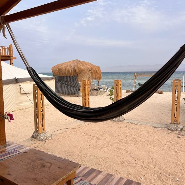 WhatsApp Image 2026-02-12 at 12.51.15 (1)