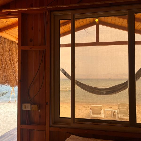 WhatsApp Image 2026-02-12 at 12.51.15