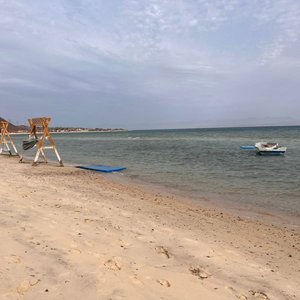 WhatsApp Image 2026-02-12 at 12.51.17 (2)