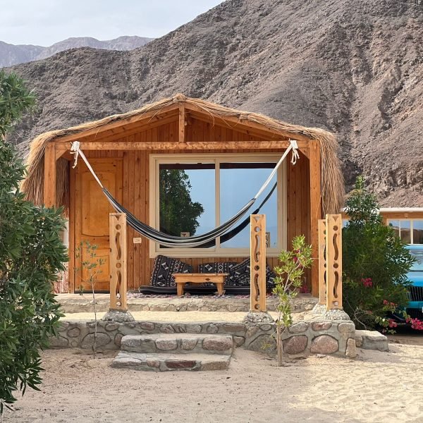 WhatsApp Image 2026-02-12 at 12.51.17