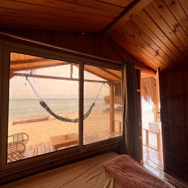 WhatsApp Image 2026-02-12 at 12.51.18 (1)