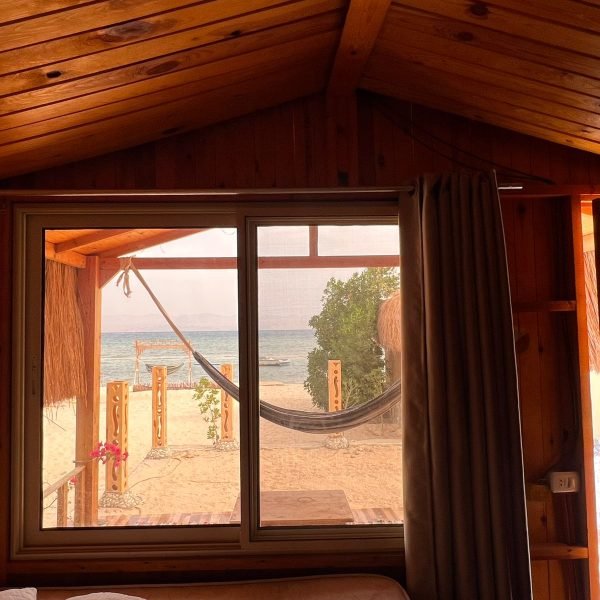 WhatsApp Image 2026-02-12 at 12.51.18