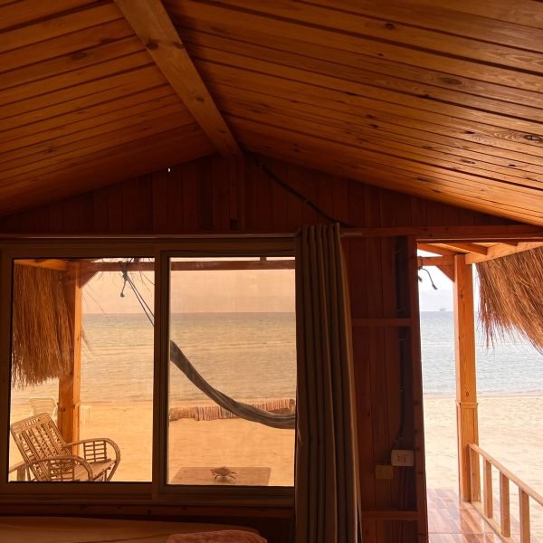 WhatsApp Image 2026-02-12 at 12.51.19