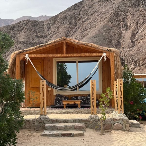 WhatsApp Image 2026-02-12 at 12.51.20