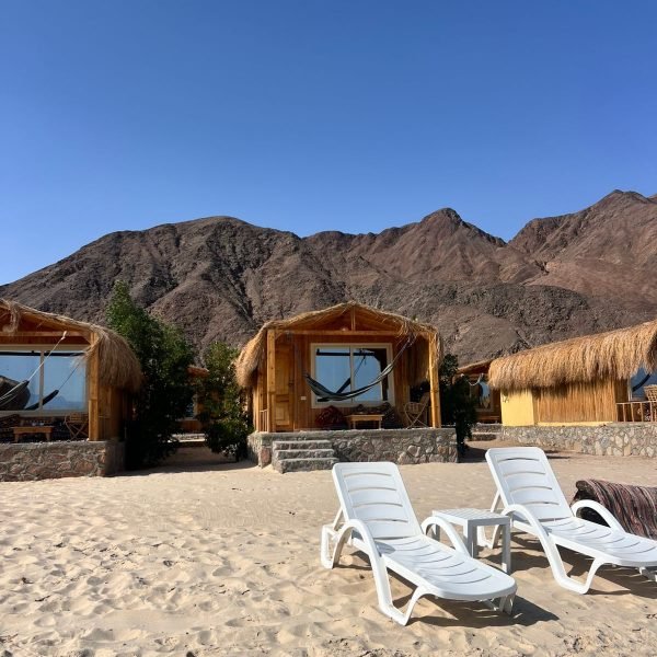 WhatsApp Image 2026-02-12 at 12.51.21 (1)