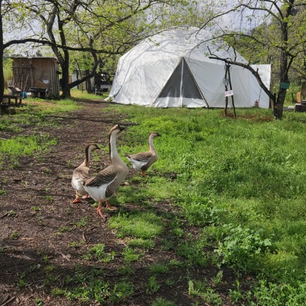 WhatsApp Image 2026-03-10 at 10.23.15 (1)